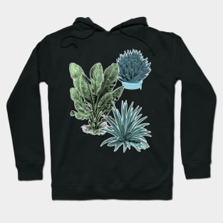 Tropical Plants | Succulent Banana Leaves Hoodie